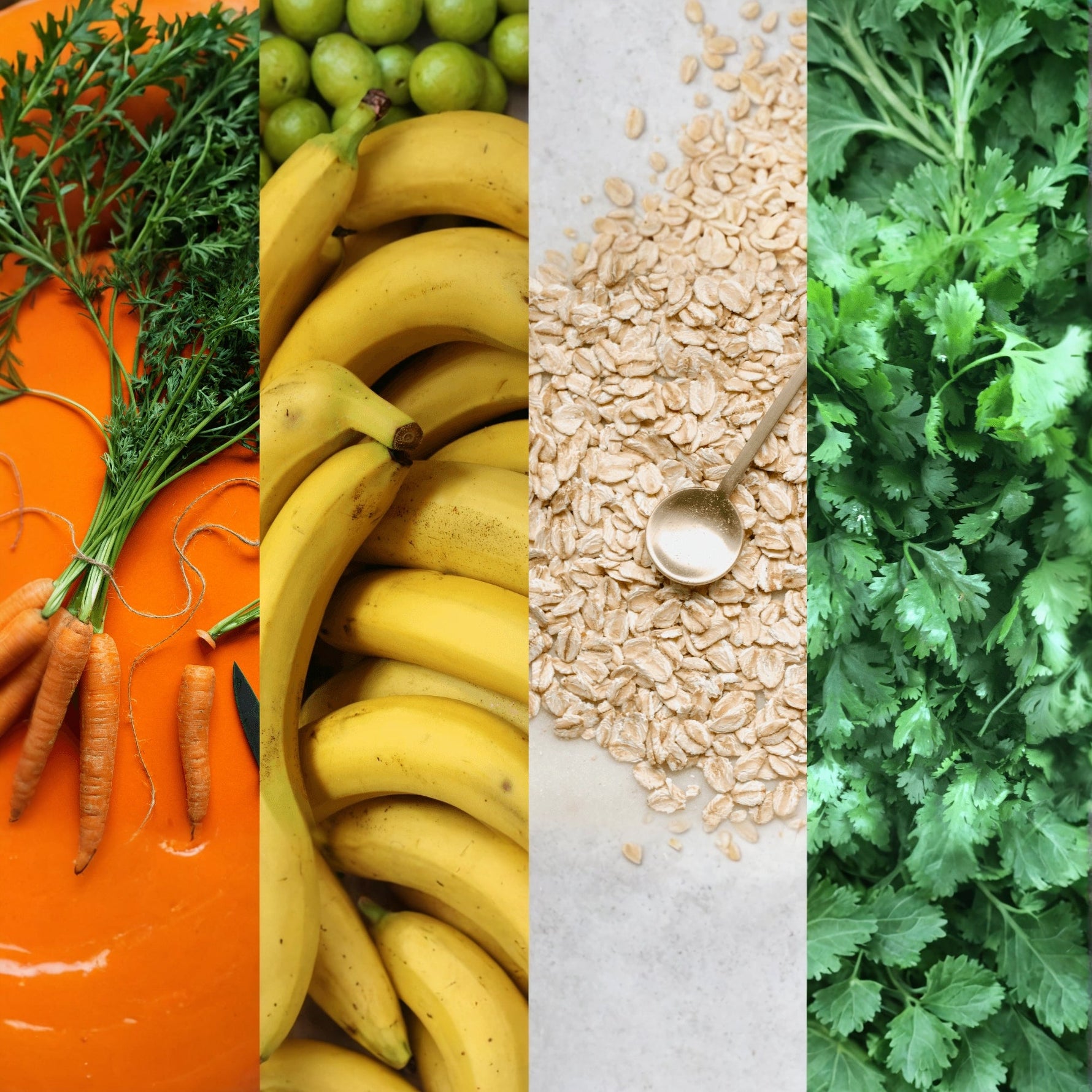 4 Healthy DIY Rabbit Treats Your Bunny Will Love!