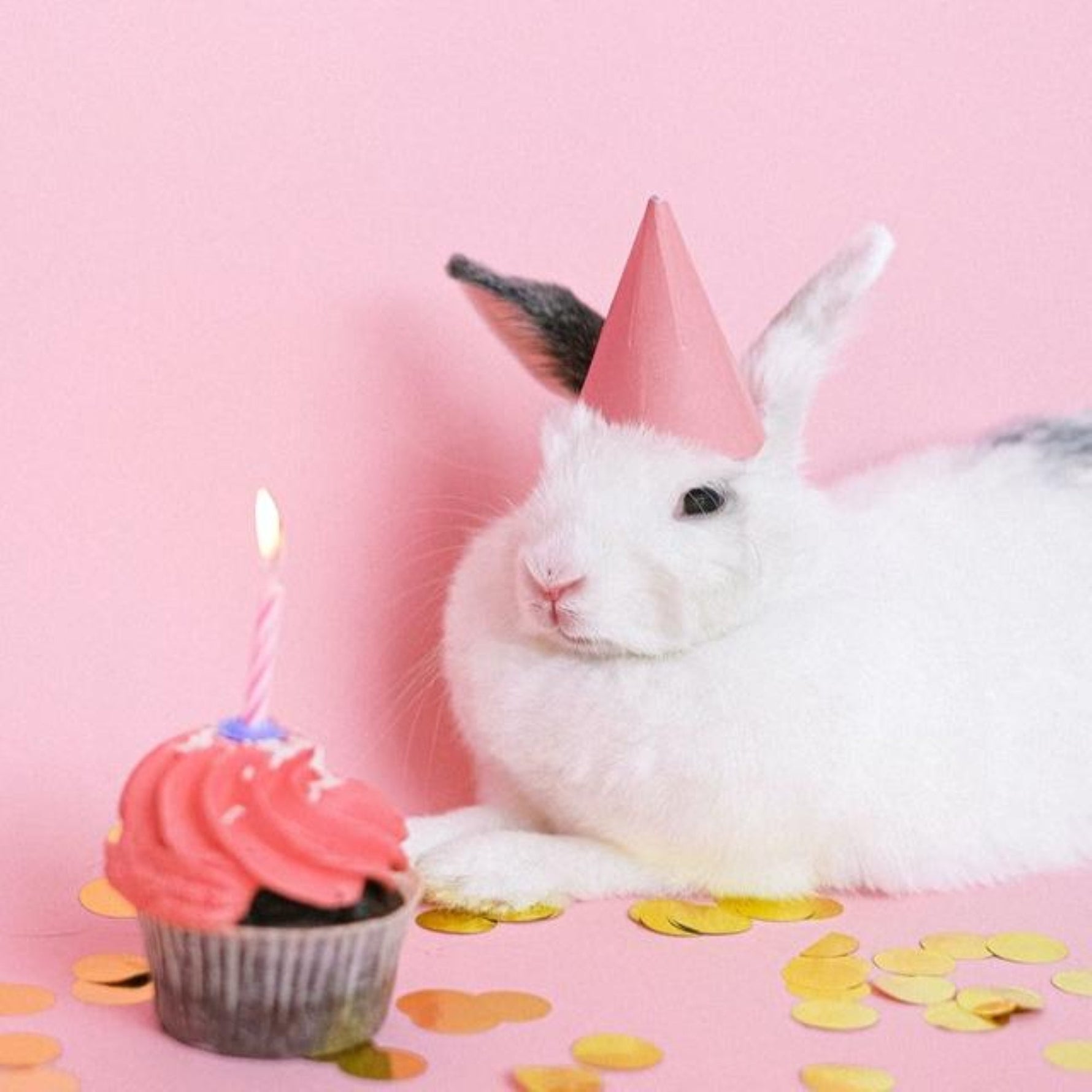 5 Creative Ideas for Your Bunny's Perfect Birthday Party