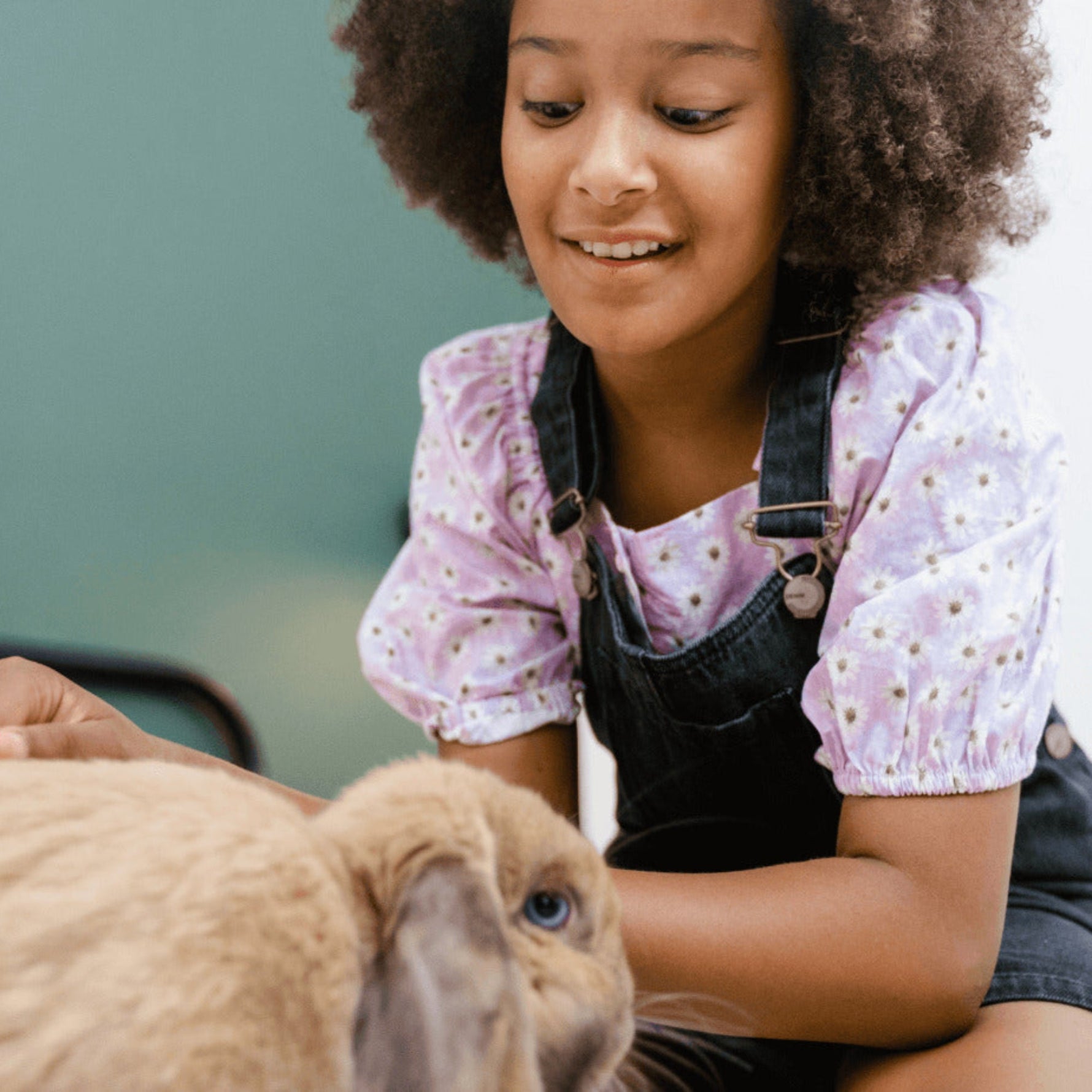 Keep Your Rabbits Entertained