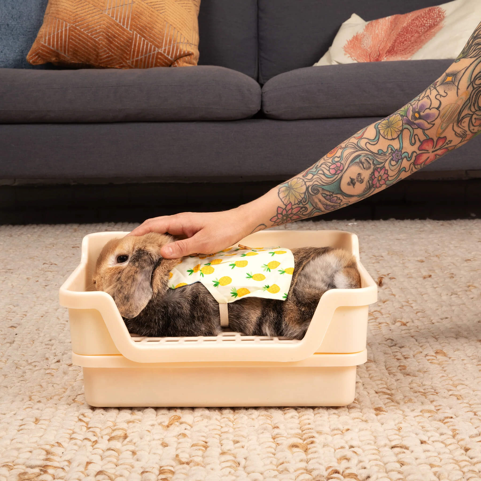 Litter Supplies