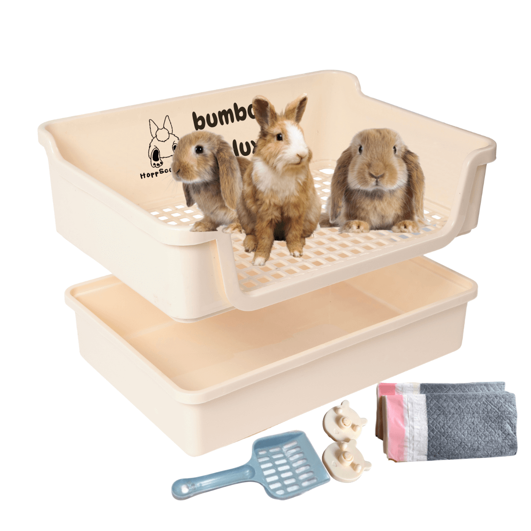 Extra Large Bumbox Deluxe