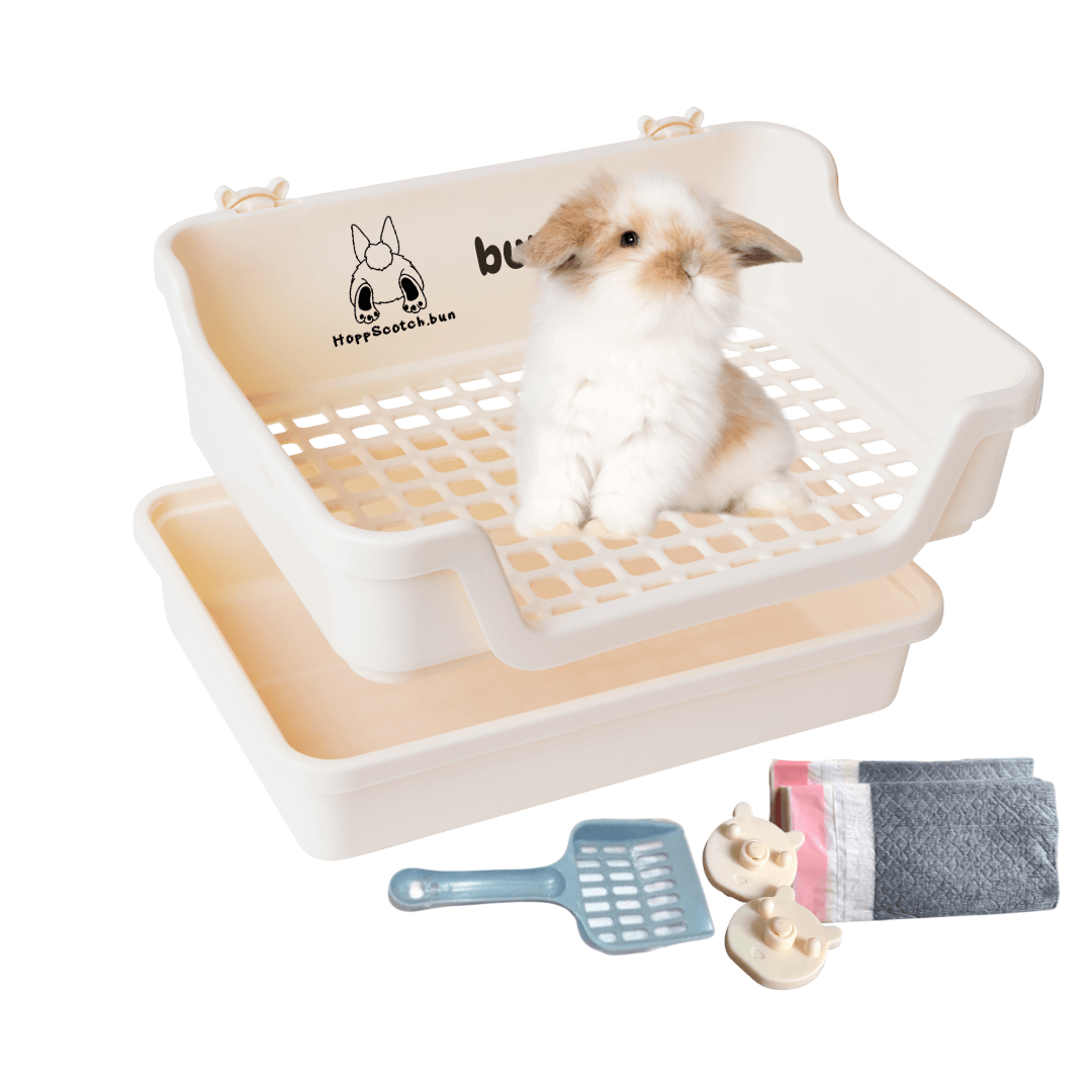 Large Bumbox – HoppScotch.bun