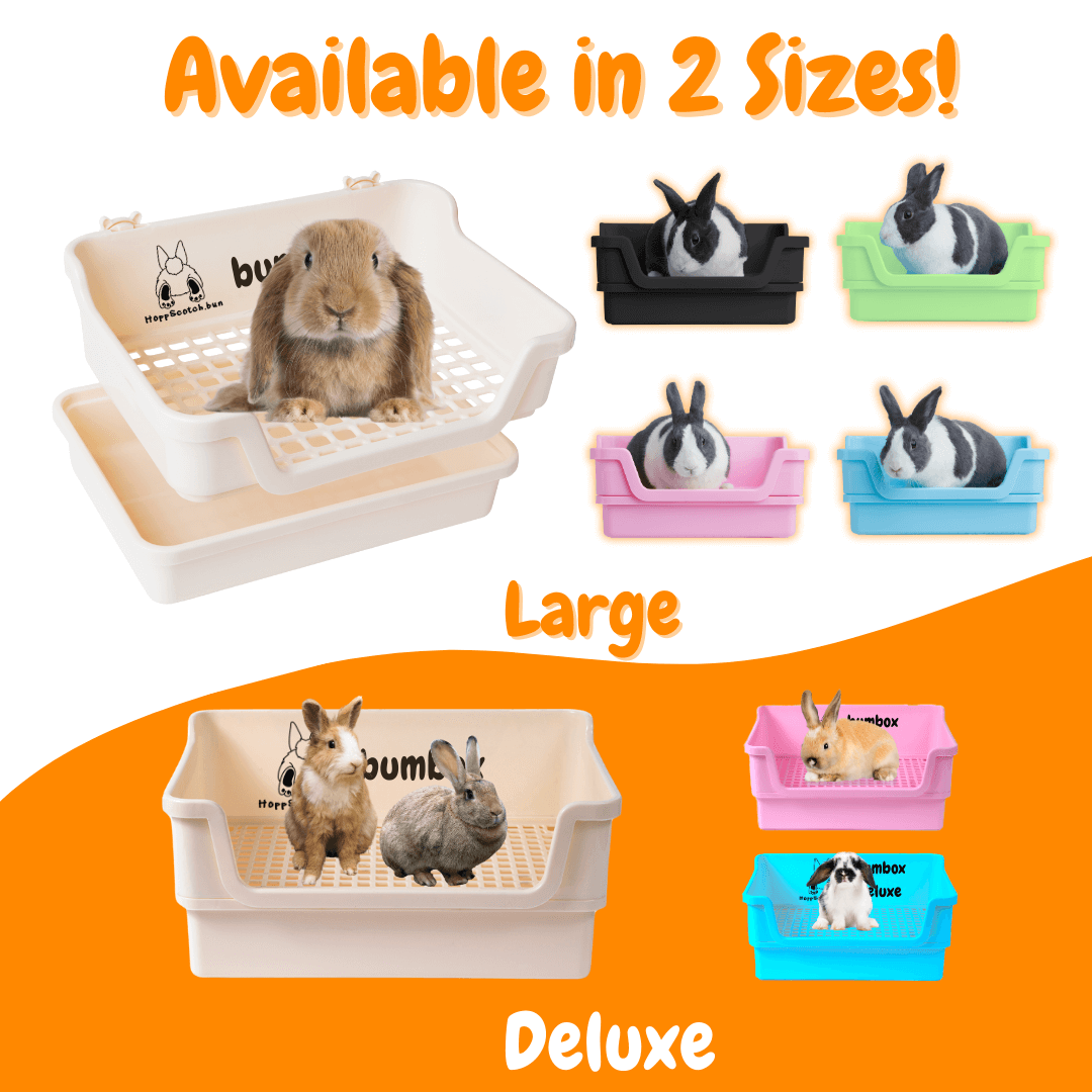 Large Bumbox