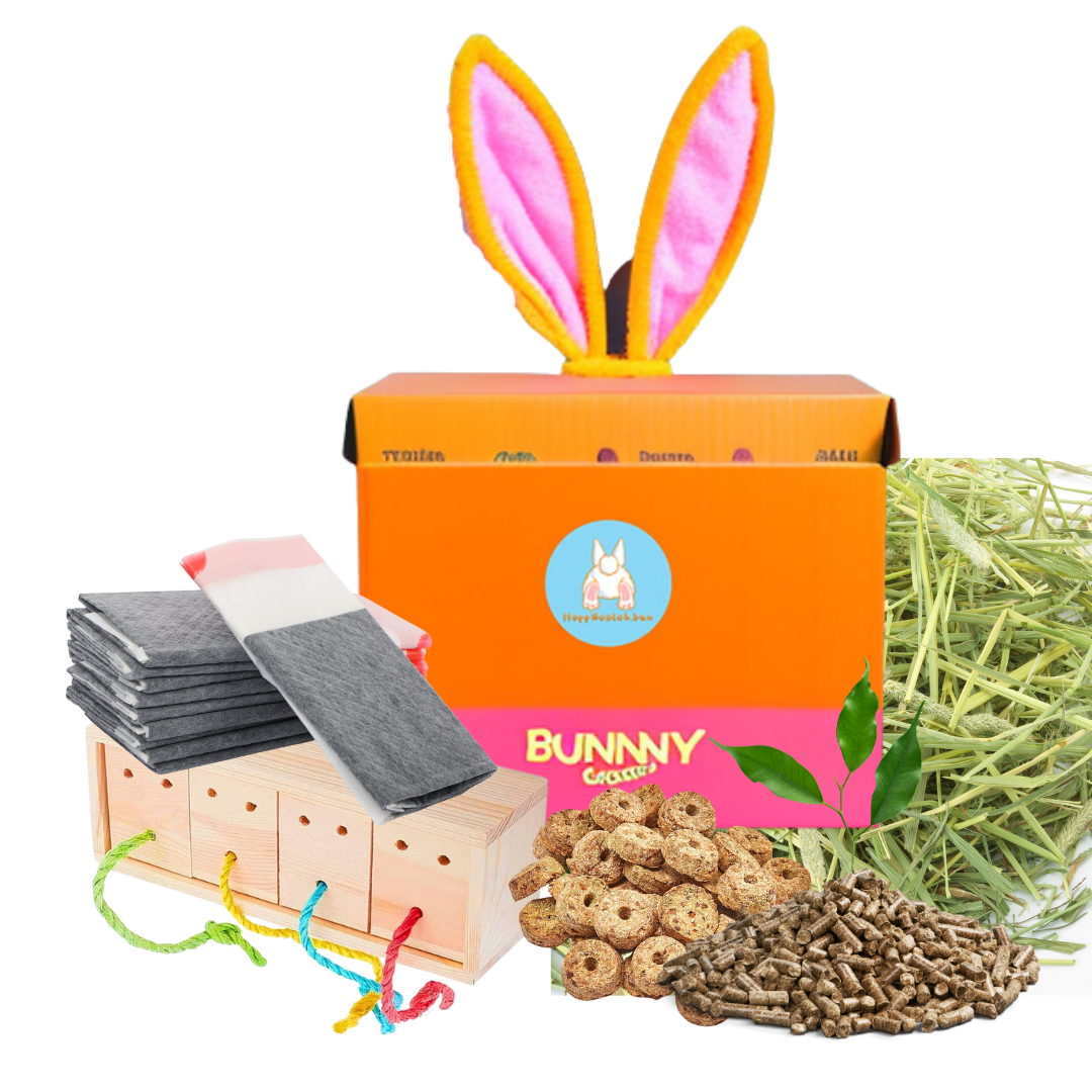 Bad Bunny Bags – HoppScotch.bun Bad Bunny Bags – HoppScotch.bun